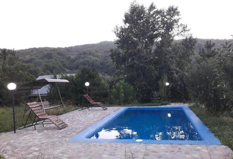 פנסיון Dacha Aksay