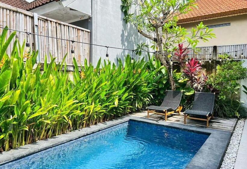 펜션 Island Boy Guesthouse A Prime Location In Canggu