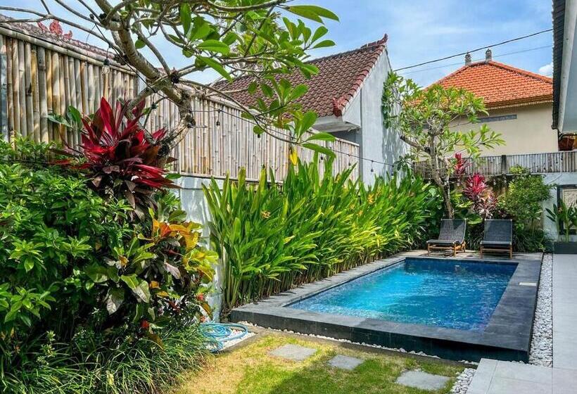 펜션 Island Boy Guesthouse N Prime Location In Canggu