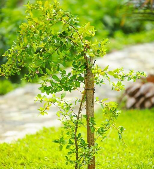 펜션 Polhena Villa Hakmana