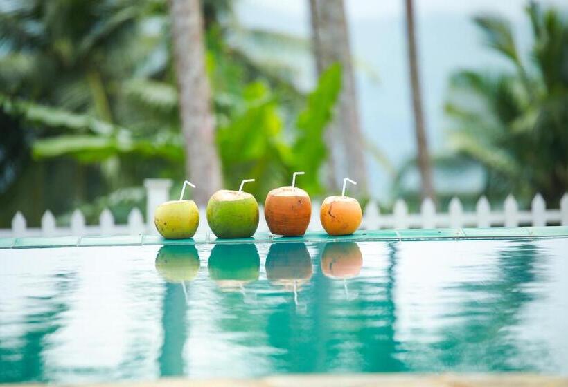 펜션 Polhena Villa Hakmana