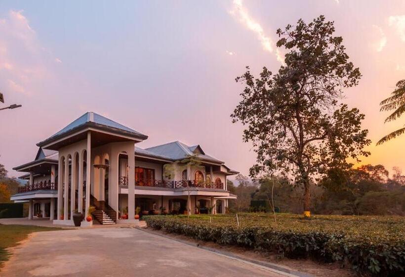 Vaani Greens Resort, Kaziranga
