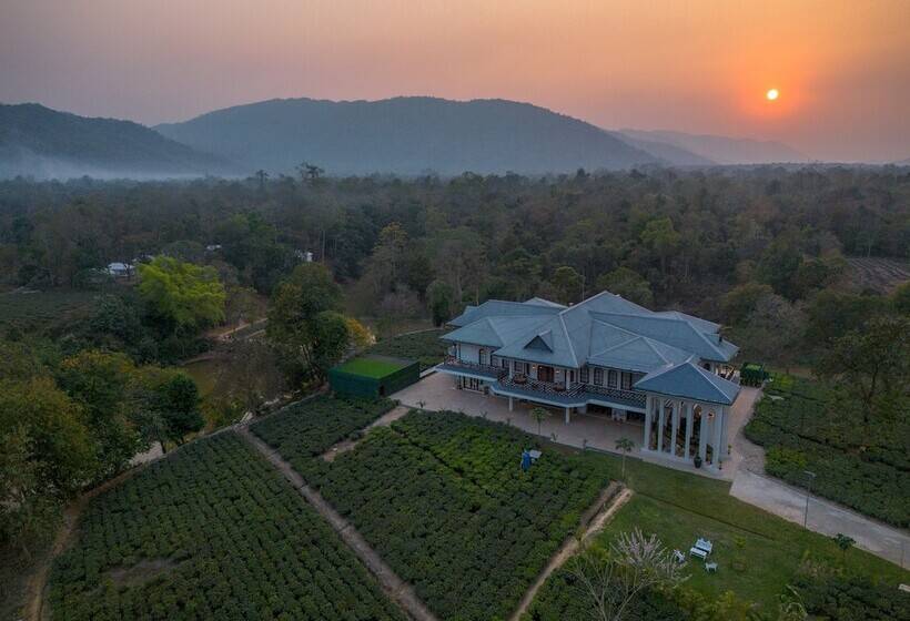 Vaani Greens Resort, Kaziranga