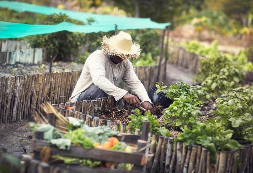 ユースホステル Villa Paz   La Villa Group