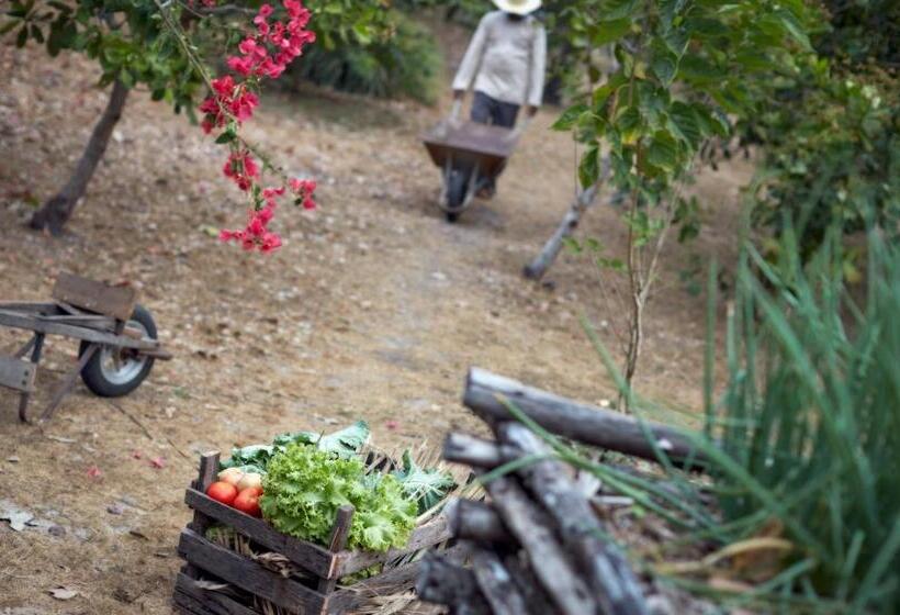 ユースホステル Villa Paz   La Villa Group