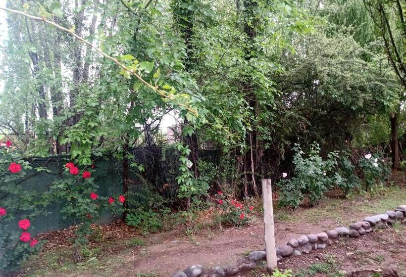 민박 Los Siete Chakras