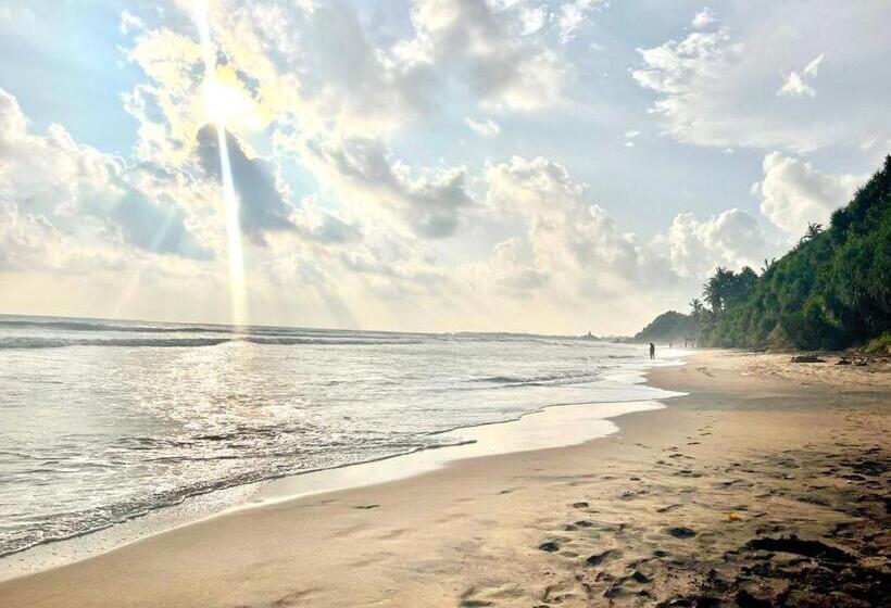 Отель Atteriya Hilltop