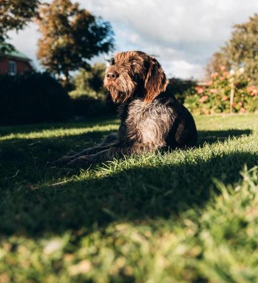 בית מלון כפרי Ferienwohnung Gröde Bei Familie Wulff