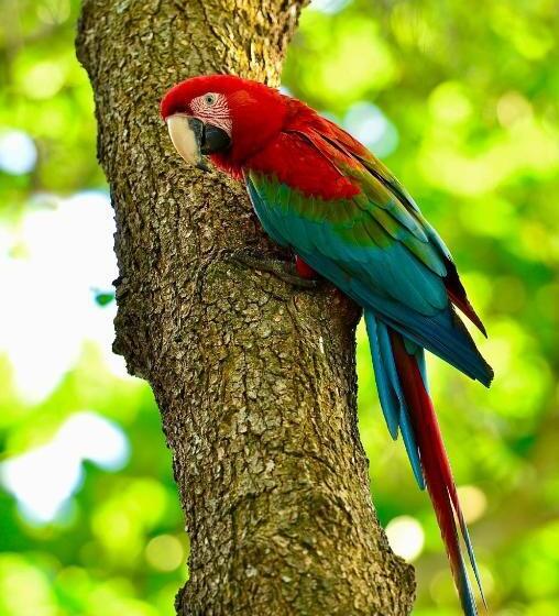 فندق Pantanal Santa Clara