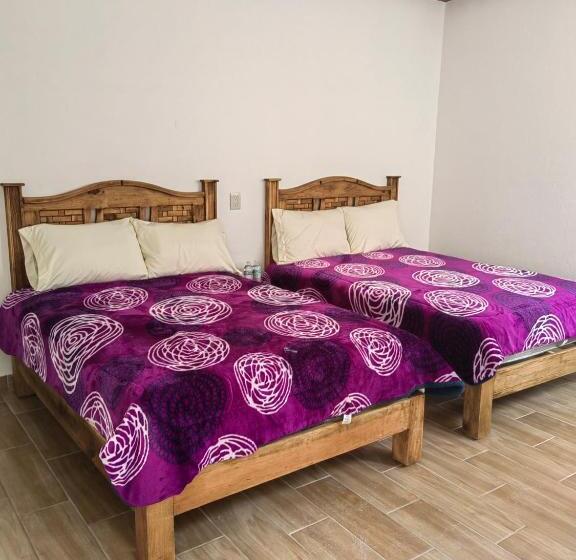 ホテル Posada Villa Aurora