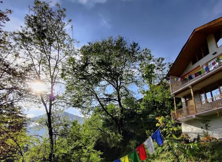 Jungle Vibes Hostel Naggar