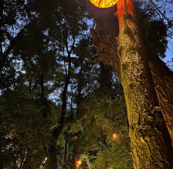 Jungle Vibes Hostel Naggar