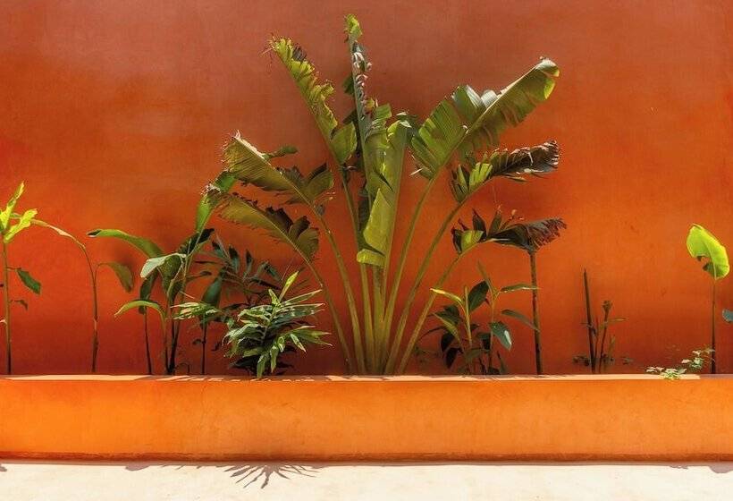 La Alberca Hotel Boutique