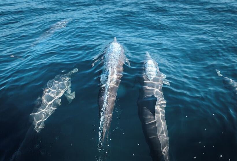 La Alberca Hotel Boutique