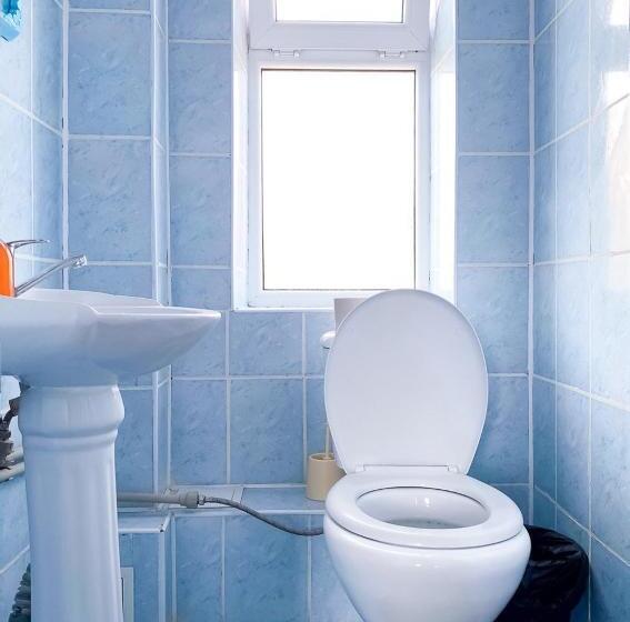 پانسیون арноо