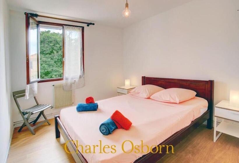 بنسيون Au Big Lazard