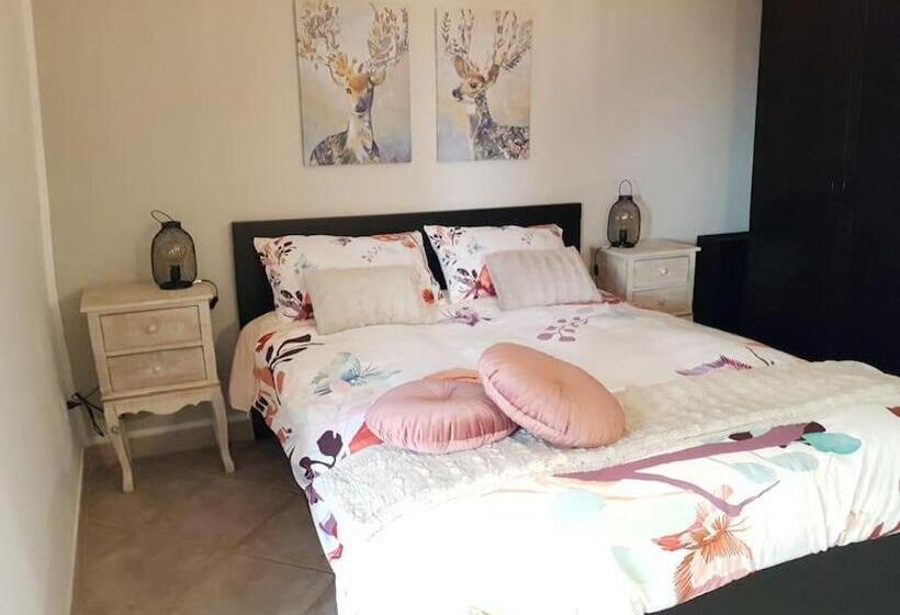 פנסיון Ebony Room Near Airport Cia E Metro