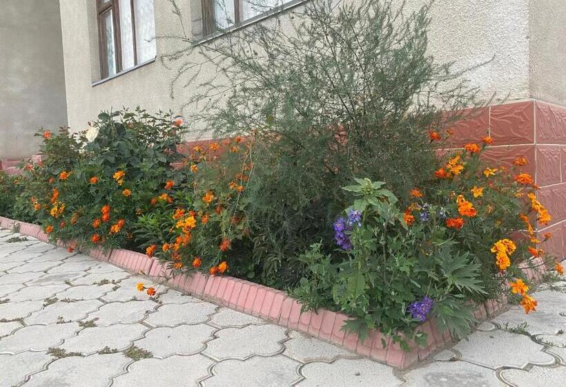 پانسیون Jaku Guest House