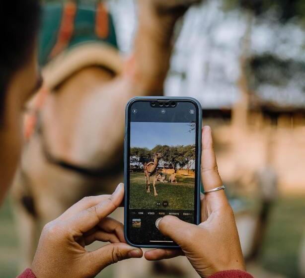 리조트 Weru Weru River Lodge