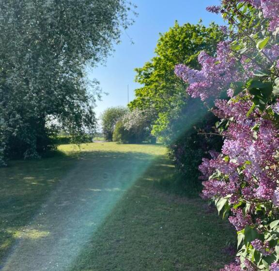 Vandrarhemmet ölands Skogsby