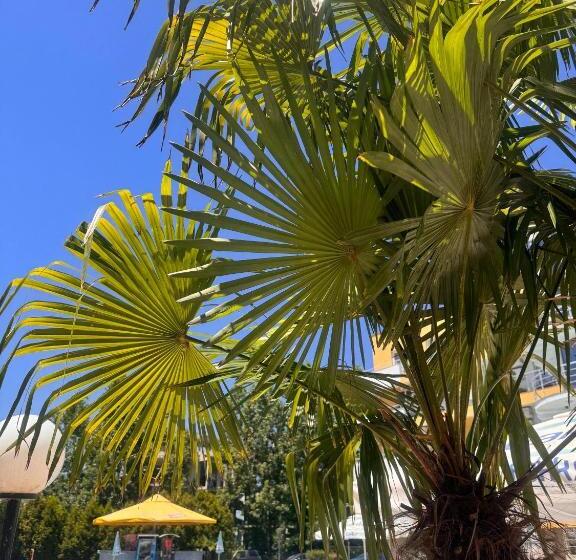 Aпартаменти мини в бей вю