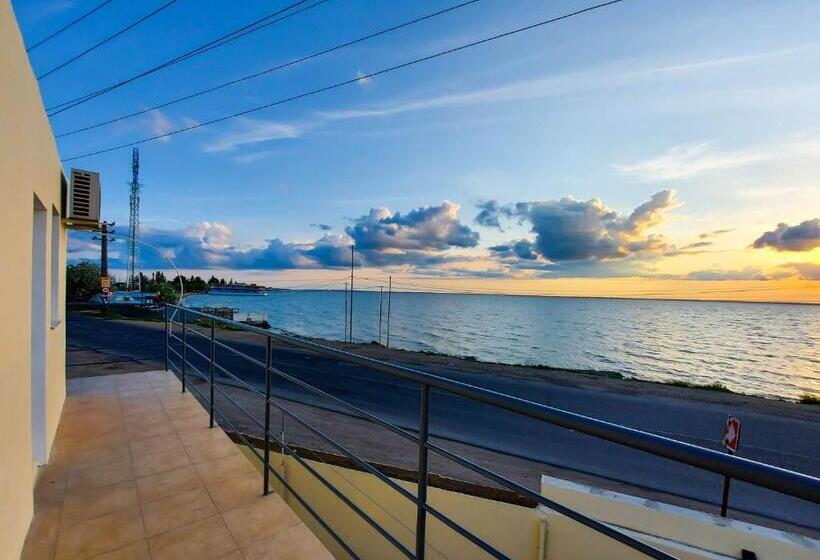 هاستل затока 501