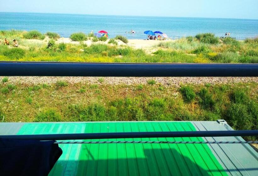 هاستل затока 501