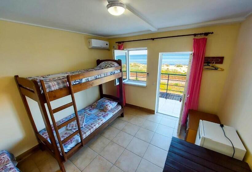 هاستل затока 501