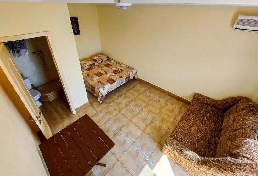 هاستل затока 501