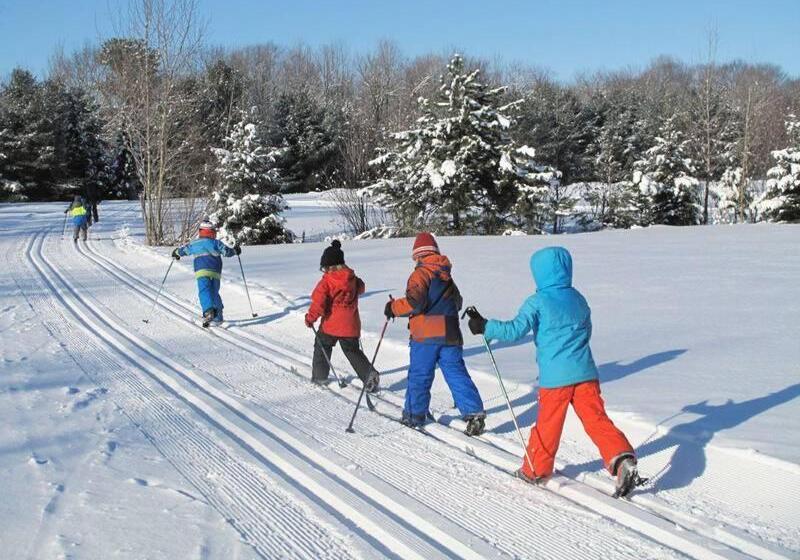 旅馆 Chalet Alpine