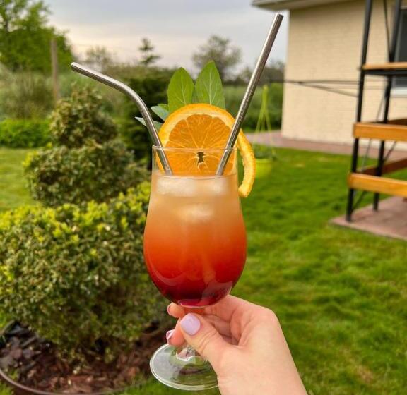 فندق صغير Green House Gribovka