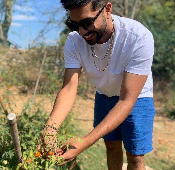 Bed and Breakfast Casa Del Gallo