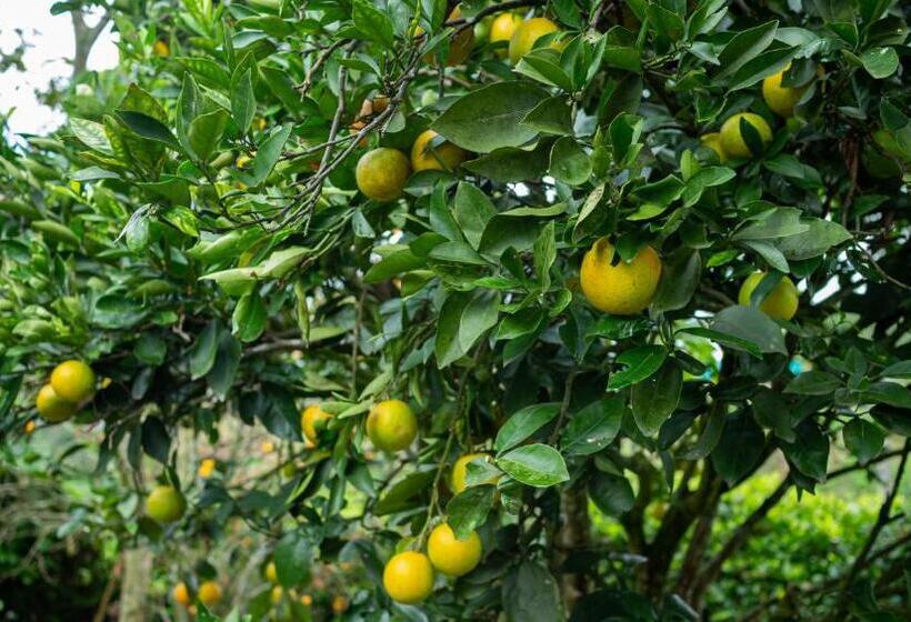 هتل Chalet Alto Bonito