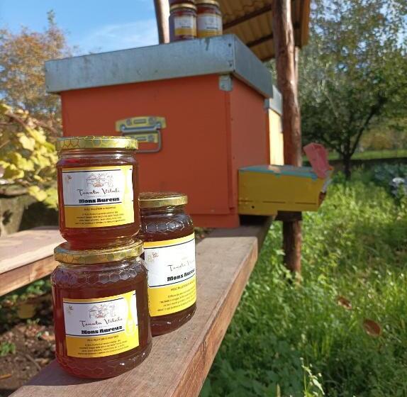 בית מלון כפרי Tenuta Vitale   Azienda Agricola Multifunzionale