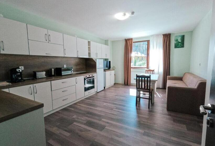 بنسيون къща за гости степет