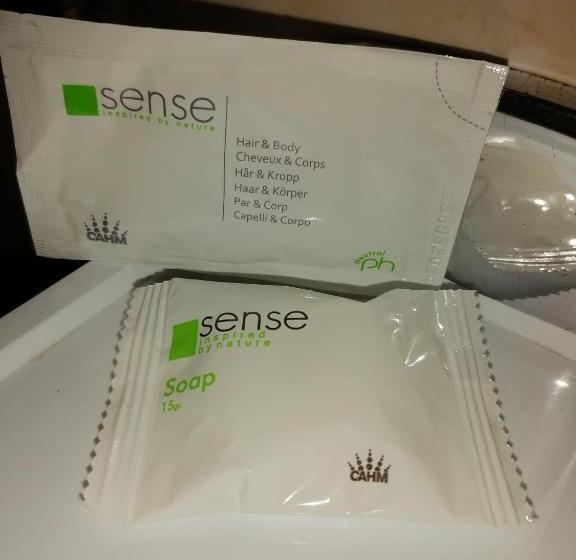 膳宿费 Bcm Family House