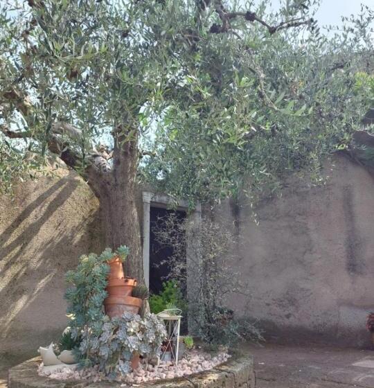 بنسيون Bnb La Corte