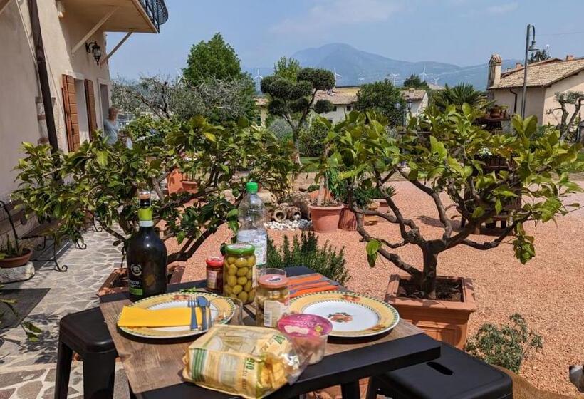 بنسيون Bnb La Corte