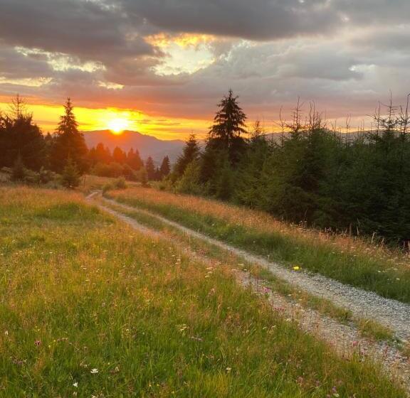 بنسيون Casa Fabian