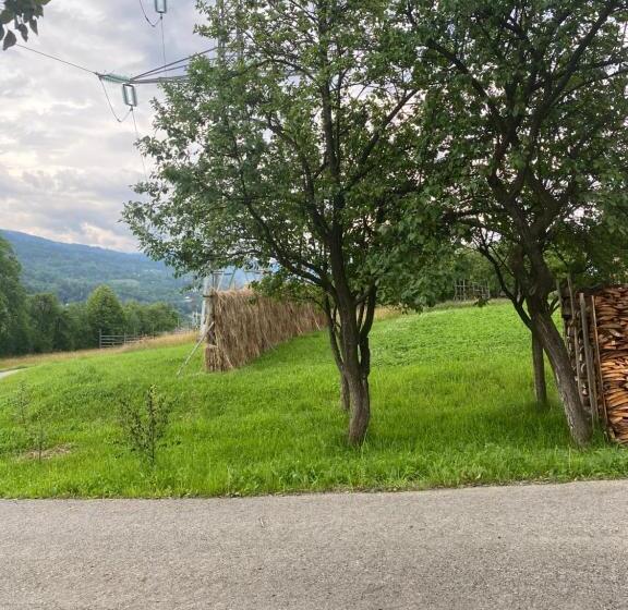 بنسيون Casa Fabian