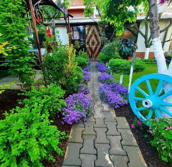 膳宿费 Casa Viselor De Vară