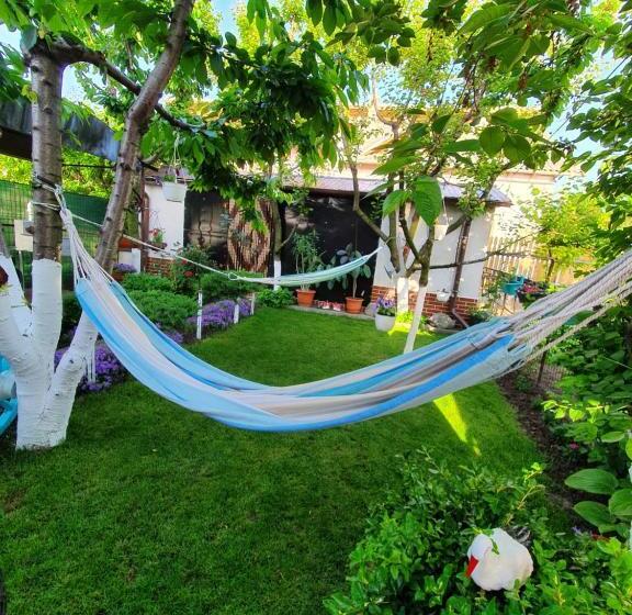 膳宿费 Casa Viselor De Vară