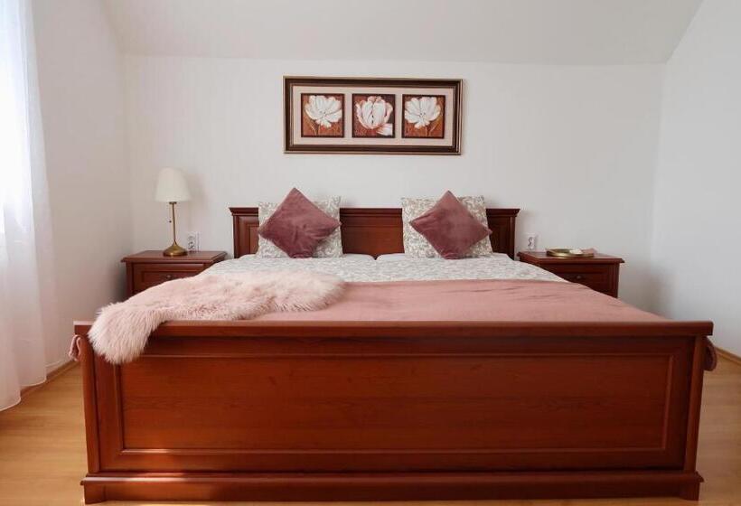 ペンション Csanádi Bor  és Vendégház