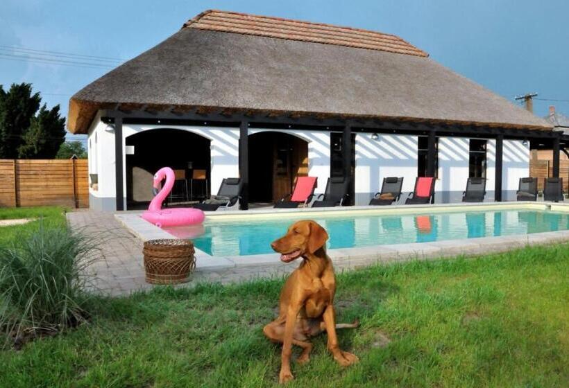 膳宿费 Ki Kötő Apartment