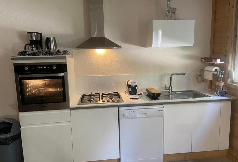 פנסיון Rockin 70 S Lodges