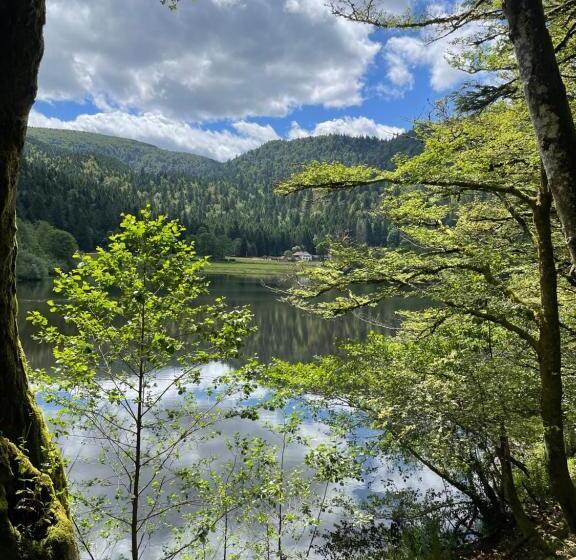 פנסיון Rockin 70 S Lodges