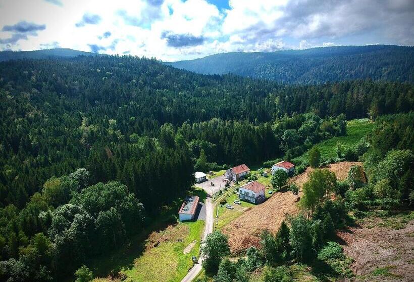 פנסיון Rockin 70 S Lodges