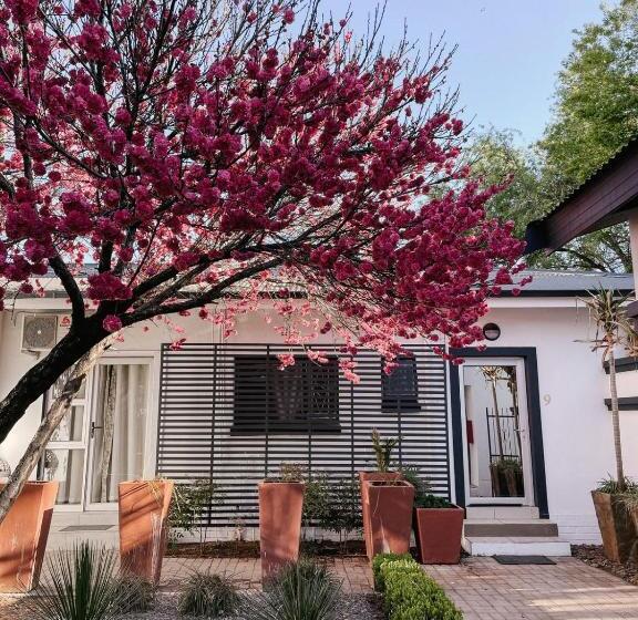 ペンション Terebinte