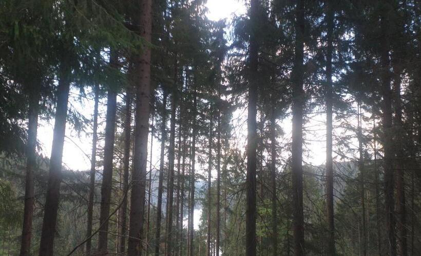 פנסיון Vila Vals Belis