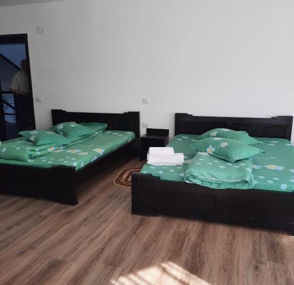 Pensiunea Valea Pintei